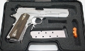 1911 Stainless Target ohne Rail
